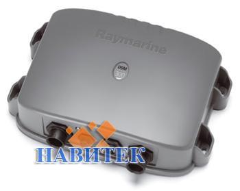 Raymarine DSM300