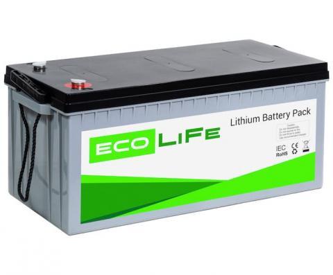 LiFe EcoLiFe 12-200