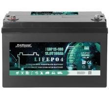 EverExceed LDP 12-100 (12.8V100AH) Bluetooth - фото 2